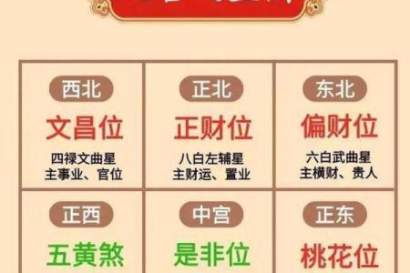 玄玄空飞星排盘详解：掌握命理，改变人生轨迹