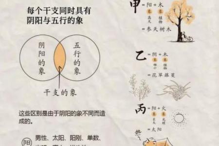 探索天干：从古代到现代的奇妙关联