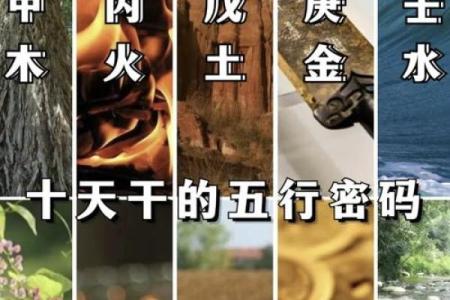 天干都是木？你必须了解的五行奥秘