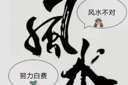 戊戌命理运势揭秘 让济缘命理助你一臂之力