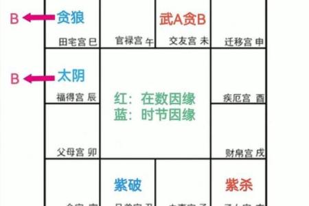 如何快速掌握命理学，轻松看懂命运玄机