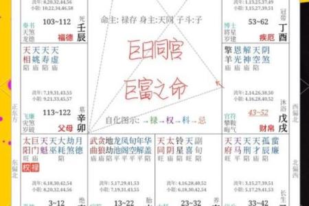 周易排盘深度解析：如何准确解读个人命运走势