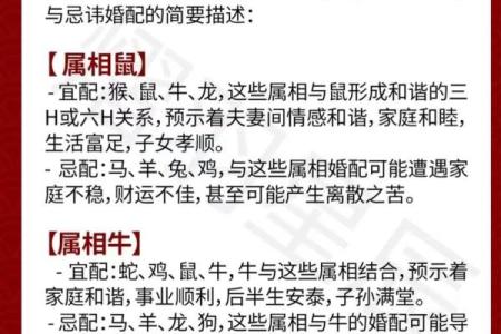 天干婚配揭秘：最合适的伴侣竟然在这五行中！