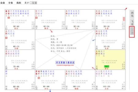 紫微斗数排盘秘籍：如何精准分析个人命运