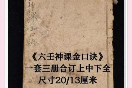 如何使用金口诀排盘手机版，掌握命理学的秘密