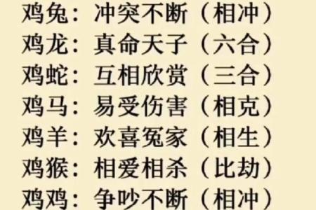 鼠与鸡，相配还是相冲？揭秘生肖奥秘