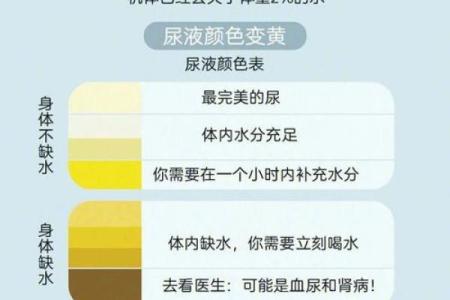 你不知道的八字健康暗示：预防疾病从这里开始