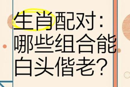鼠鸡组合，天生一对？
