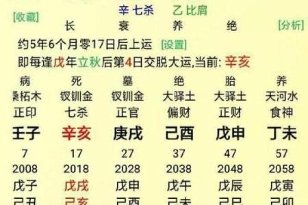 如何通过八字排盘精准解读你的人生运势？