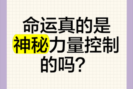 天干与天赋的秘密，揭开命运的面纱