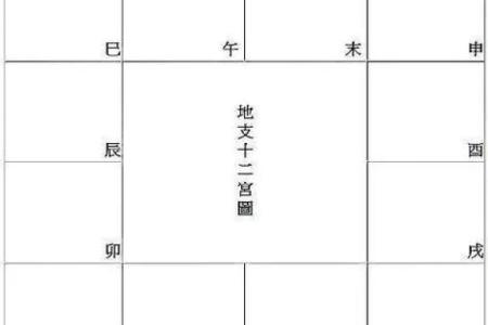 紫微排盘有多少种类型？每种都能告诉你什么秘密！