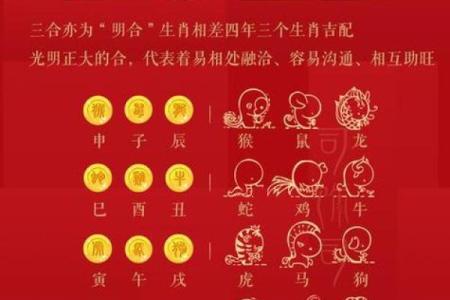 生肖狗的黄金搭档：揭秘最佳配对生肖
