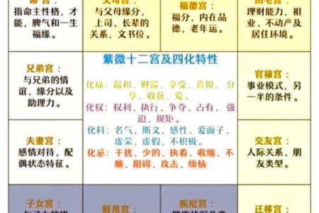 乾隆八字紫薇排盘揭秘：如何解读帝王命运之谜