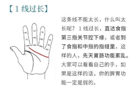 深度解析命理刀掌中线：你掌纹的命运轨迹