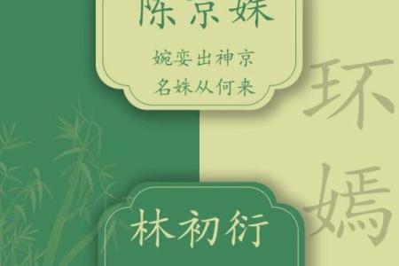 从设计到命名，衣服名字如何决定品牌命运