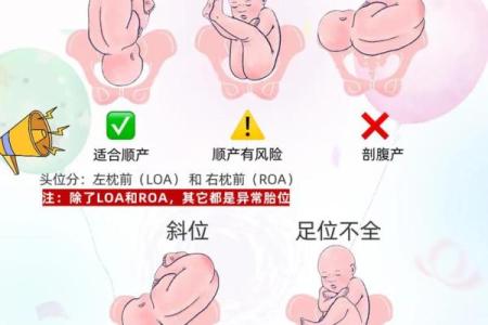 深入解析命理胎元的确定方法与技巧