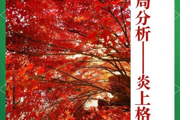 木旺命理的强大力量：它如何影响你的爱情与事业？