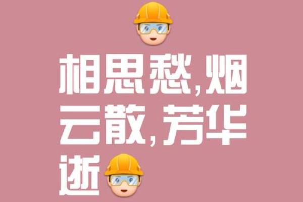 命比风疾，一瞬飘摇