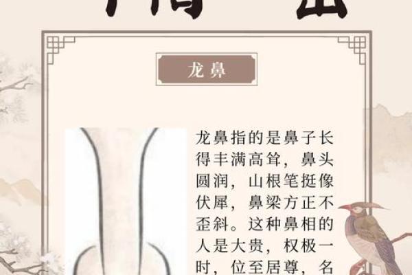 财运天注定，面痣显神通：揭秘男人发大财的神秘面相密码