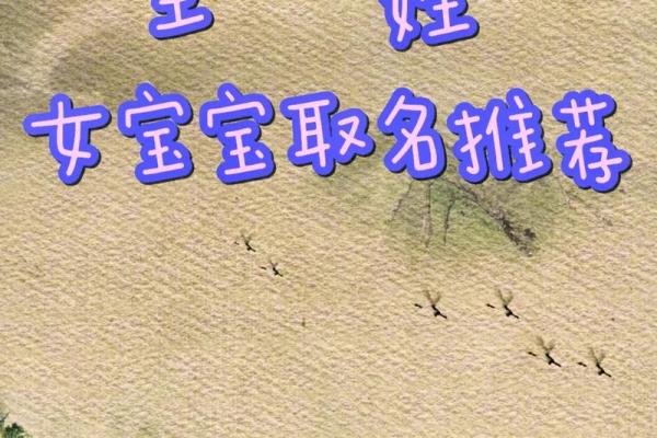 如何给孩子取个有皇帝气度的名字