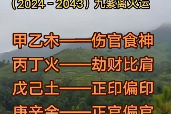 揭秘：弱木命，你的运势转折点