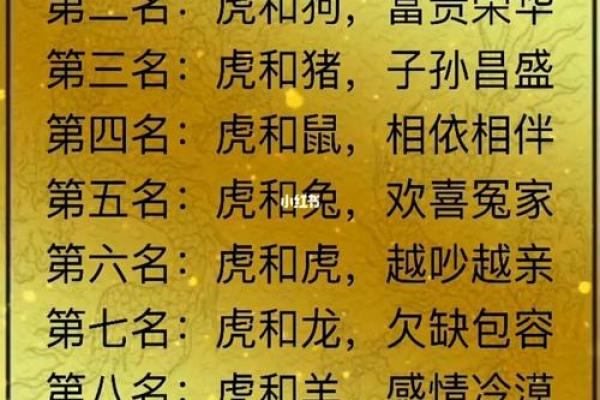 女猪男鸡，姻缘天注定？揭秘属相配对之谜