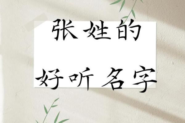 张姓女孩起名大全，取名有这些独特选择