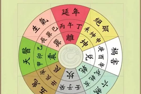 九星算命排盘揭秘：如何通过星盘掌握人生运势