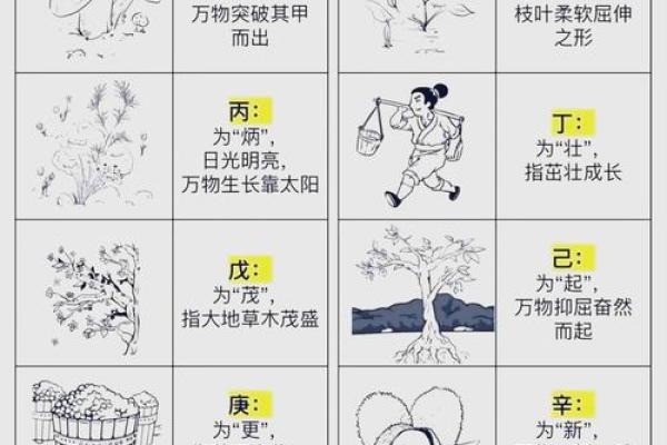 天干口诀秒懂，轻松过关