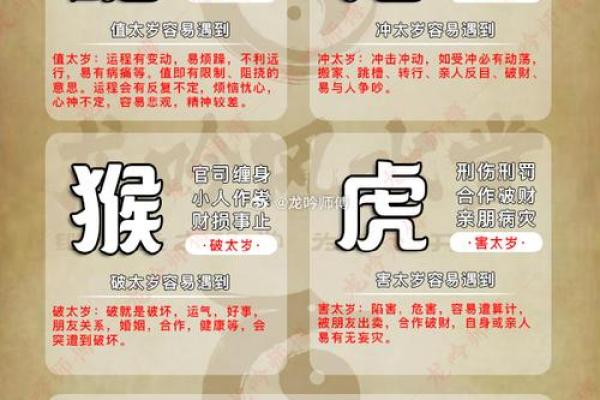 马狗揭秘：出生年份命理大揭秘，快来一探究竟