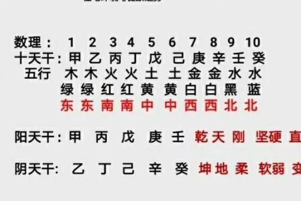 探秘天干得令：命理中的至高法则