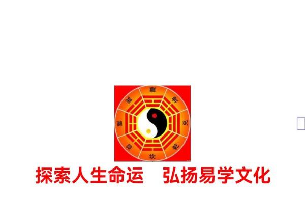 梅花排盘软件：一键排盘，洞察人生每一步