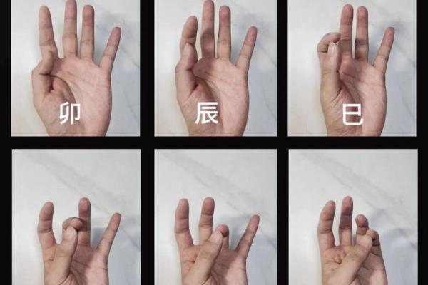 掌握天干地支日期计算的终极技巧