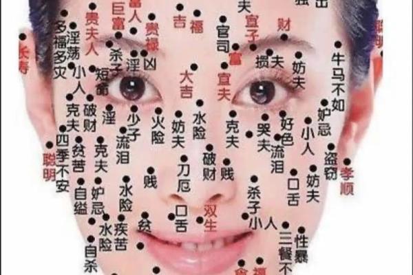 如何通过手背志命理看未来