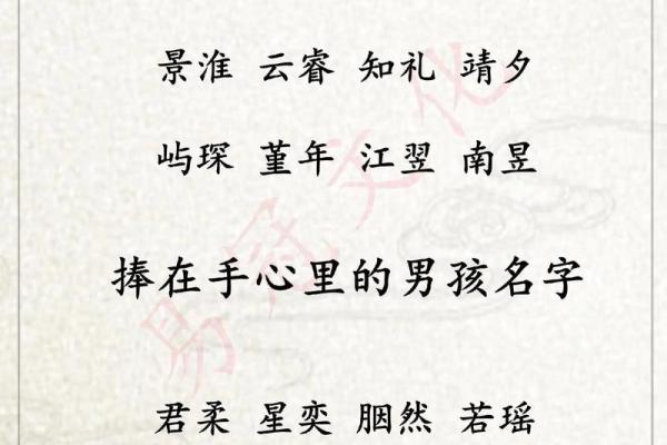 白姓男孩名字精选，独一无二的选择