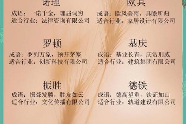 起个响亮的公司名字，成功的第一步