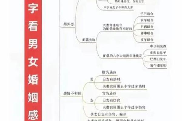 命理学如何帮助你看透自己的学历潜力