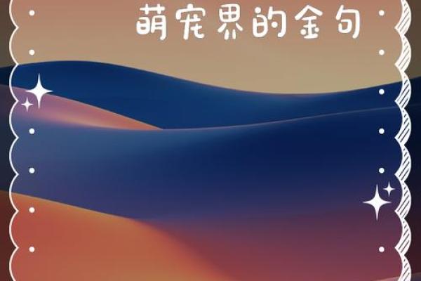 猪界萌宠秀