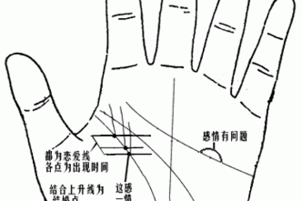 孔子亲授：手相奥秘，一图解尽人生运势