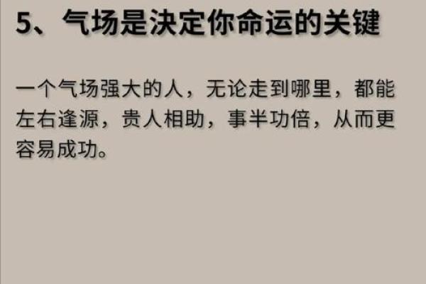 解密命理中的三停格：你的命运是否已被写好？