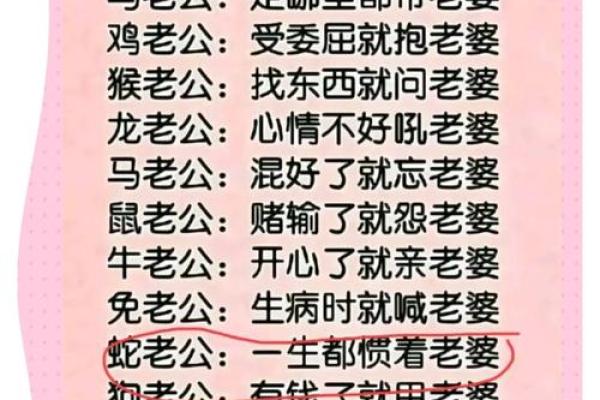属龙属蛇，天生一对：幸福美满，相濡以沫