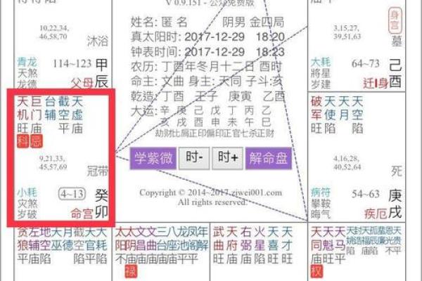 如何利用免费紫微排盘，洞察未来人生关键节点