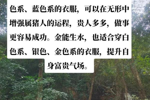 0年属猪五行命解析：揭秘生肖猪的独特运势