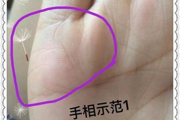 揭秘生死边缘手相中的神奇逃生密码，让你瞬间洞悉命运转折