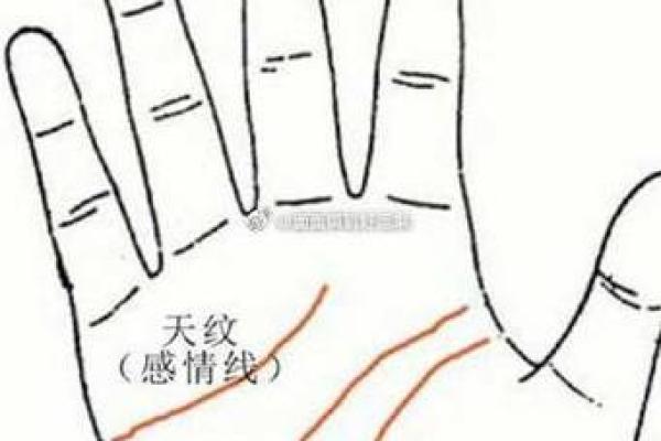 手相奥秘：揭秘左右手相的神奇差异，让你一眼看穿命运