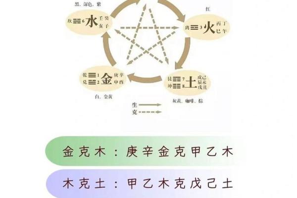 天干元男的五行属性解析