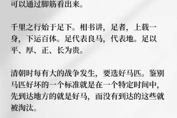 识人秘术：一眼看穿面相，揭秘命运之谜