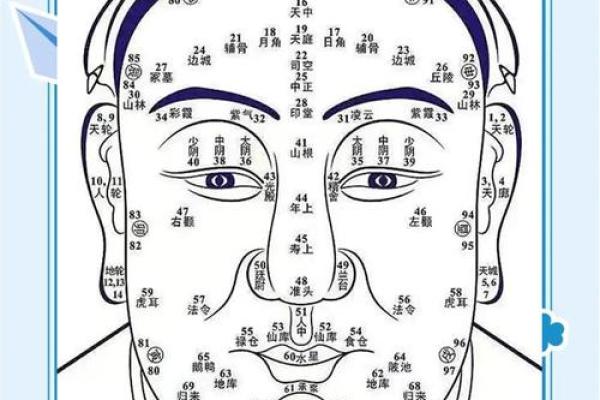 识人秘术：一眼看穿面相，揭秘命运之谜