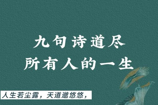 跨越千年文化传承：用诗文为公司命名的秘诀