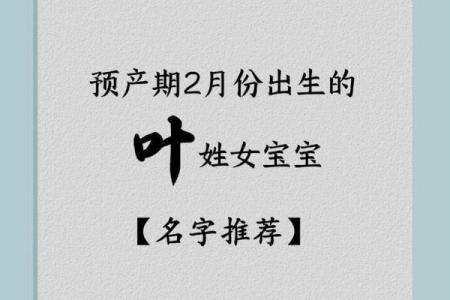 从古至今，叶字取名的文化意义与传承